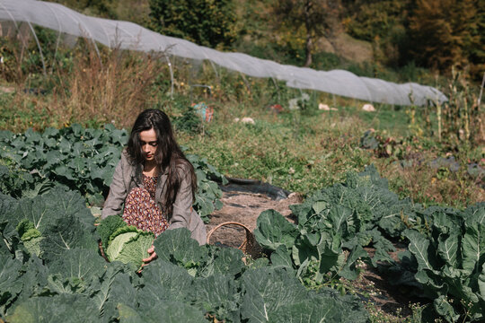 Gardener With Basket Walking Through Field