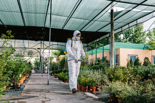 Man wearing a professional protective coverall to fumigate plant