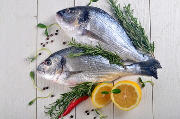 Two Fresh Dorado fish with lemon, onion and rosemary on white wooden board background, top view