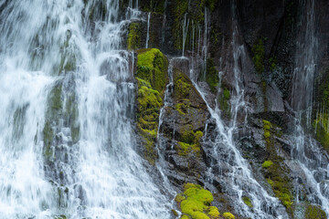 Landscape of waterfall on moss-covered stone wall in the Pacific Northwest