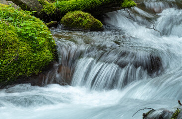 waterfall in the forest