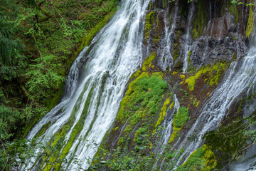 waterfall in the forest