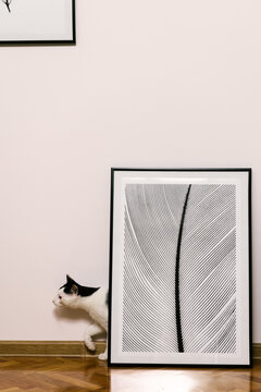 Photographs ready to be hanged on a freshly drilled wall