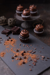 Chocolate Cupcake with Chocolate Icing and Chocolate Chips on Top; Different Kinds of Chocolate Scattered Around on a Dark Background