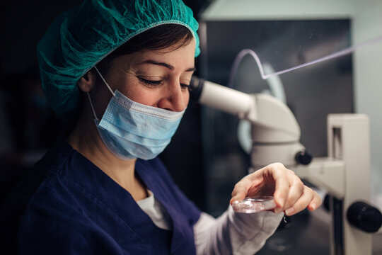 Biologists working on microscope in IVF laboratory