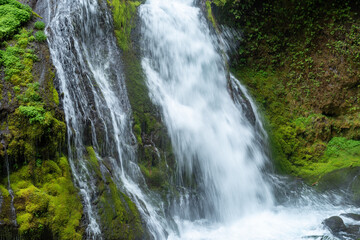 waterfall in the forest