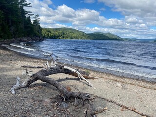 Fototapeta premium Beach view along a lake in Maine wilderness