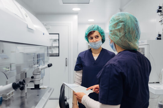 Biologists working reviewing documents in IVF laboratory