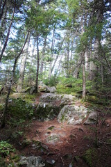 The Appalachian Trail winding through the Maine Wilderness