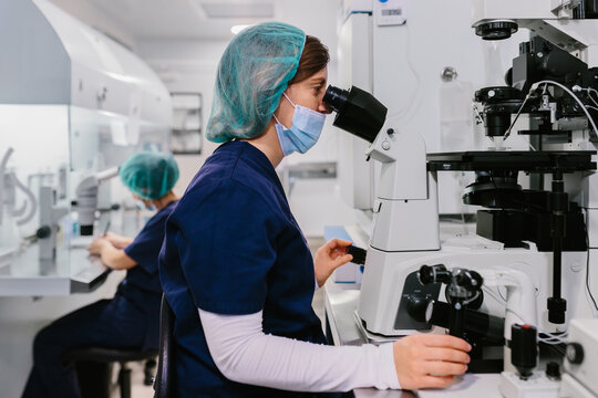 Biologists working on microscope in IVF laboratory