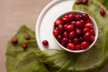 Bowl of Fresh Cranberries on a White Pedestal