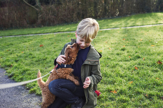 Child with a puppy dog