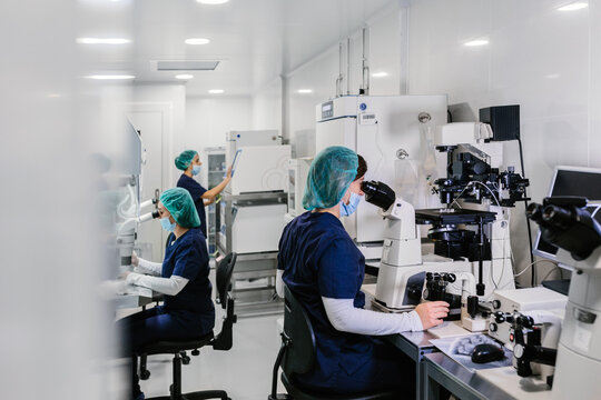 Biologists working on microscope in IVF laboratory