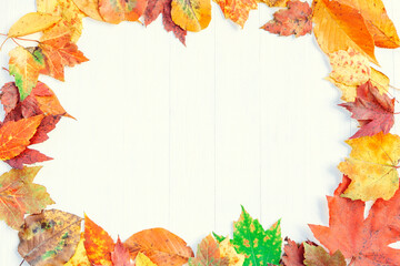 Naklejka na ściany i meble Autumn Leaves Background