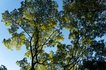 naturaleza