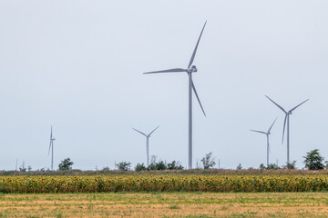 Wind electro generators standing in field. Green eco energy of future in countryside. Ukraine turbines, power generation