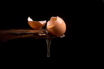 broken egg