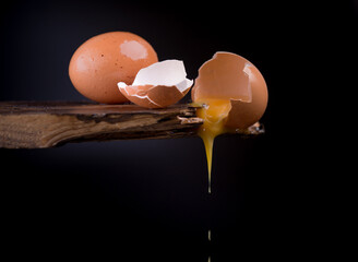 broken egg