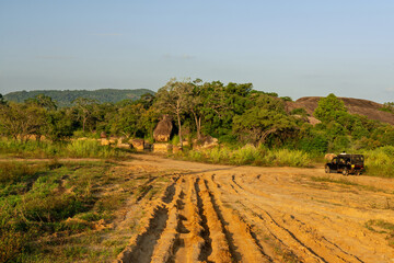 Fototapety na wymiar - Fototapeta24.pl