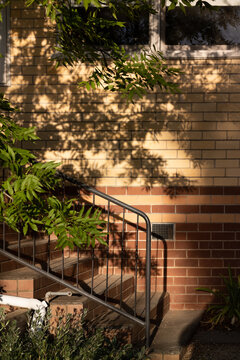 Light and shade falling on the back garden wall of a house