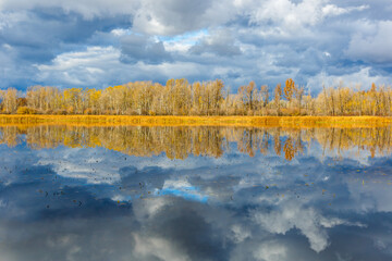 Autumn scene of a pond with dynamic clouds reflected in water and lined with colorful trees.