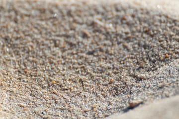 Sand texture grains on sea beach shore macro with blurred background. White summer concept