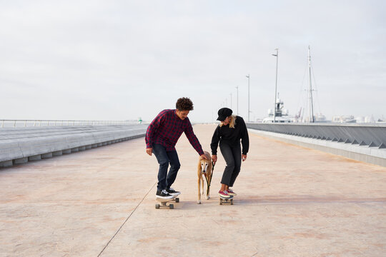 Happy couple with dog riding skateboards on quay