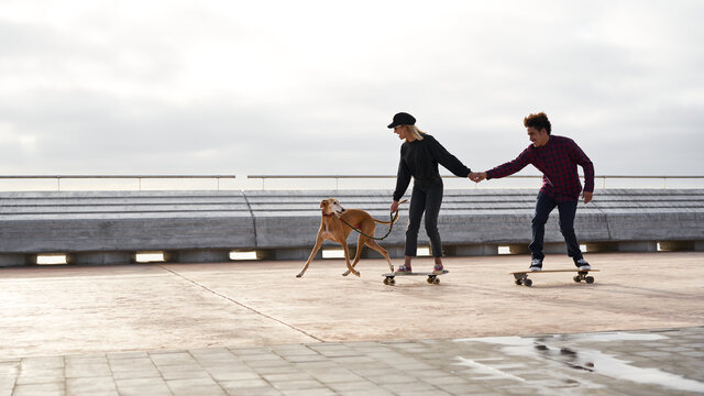 Dog running with its owner on skateboard.