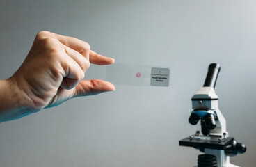 Hand holding a macro sample for microscope