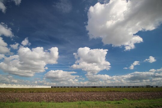 Cumulus clouds in blue sky in the Zuidplaspolder