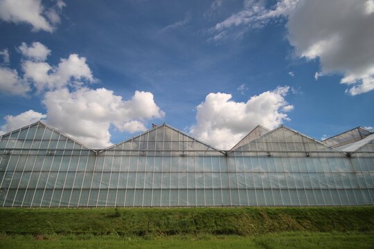 Cumulus clouds in blue sky in the Zuidplaspolder