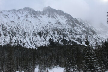 snow covered mountains