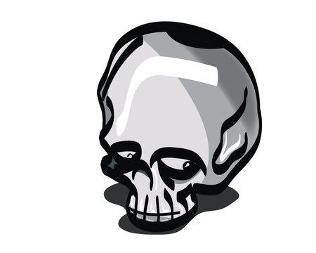 A vector image of a skull.