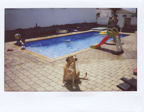Children playing at swimming pool