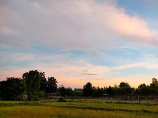 Fototapeta premium sunrise over the field
