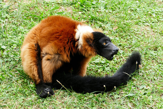 Vari bilder – Bläddra bland 4,067 stockfoton, vektorer och videor ...