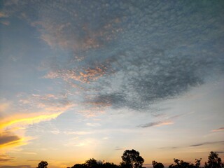 sunset over the field
