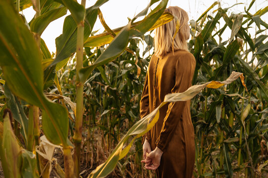 blonde girl in orange dress stands with her back to the camera on a corn field