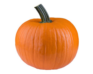 Pumpkin on white isolated background. Pumpkin super macro closeup.