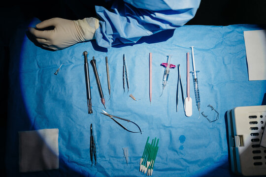 Surgical tools placed near crop doctor