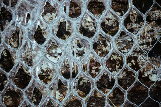 Ice surrounding a metallic fence