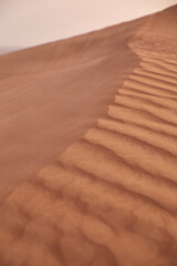 desert photography in dubai