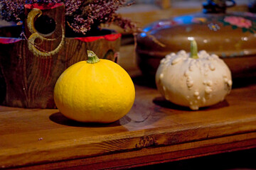 still life with pumpkin and apples