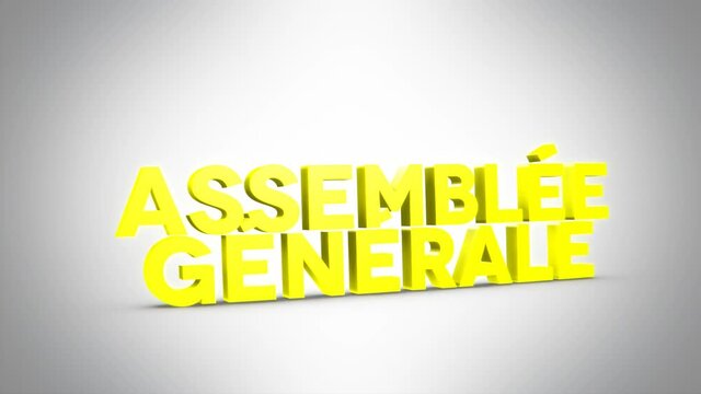 assembl&eacute;e g&eacute;n&eacute;rale 3D jaune
