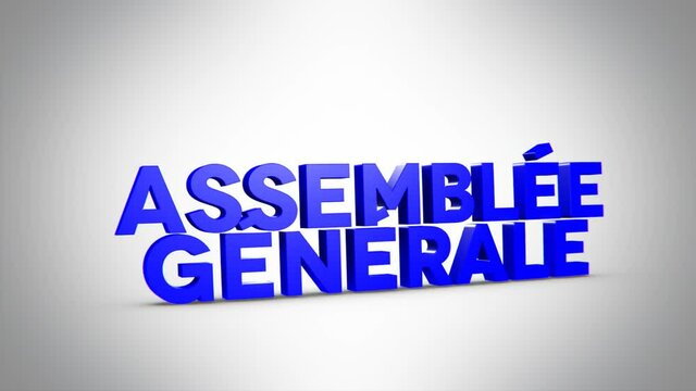 assembl&eacute;e g&eacute;n&eacute;rale 3D bleu