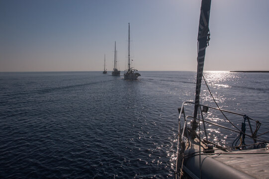 sailboat convoy entering the suez canal