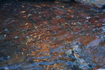 온천 가는 골목길