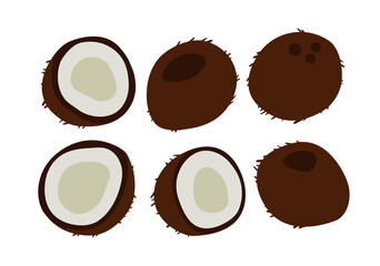 Vector illustration of coconut and half of coconut isolated on a white background. Hand-drawn vector coconut. Trendy tropical fruit illustration for web and print design.