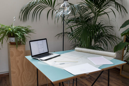 Modern openspace architects studio with plants