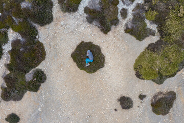 a woman is sleeping on a round plant in an arid environment.